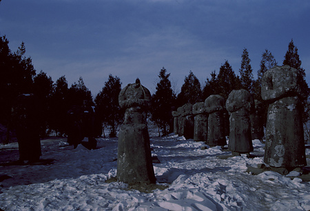 022 - 1984/12-1985/1中国 - 022_07_13
