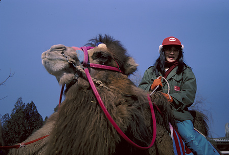 022 - 1984/12-1985/1中国 - 022_07_15