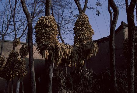 022 - 1984/12-1985/1中国 - 022_09_08