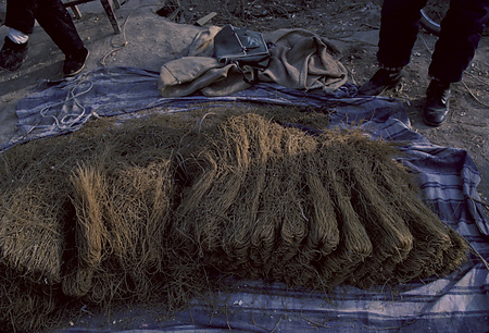 022 - 1984/12-1985/1中国 - 022_09_10