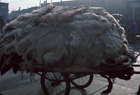 022 - 1984/12-1985/1中国 - 022_10_03