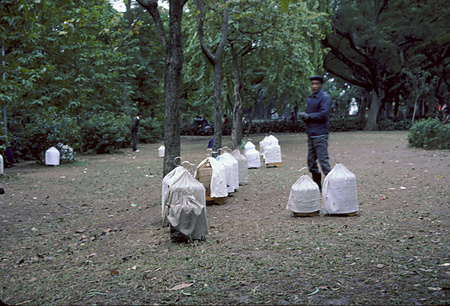 022 - 1984/12-1985/1中国 - 022_11_04