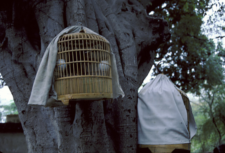 022 - 1984/12-1985/1中国 - 022_11_05