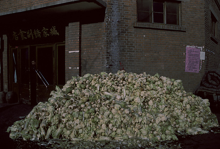 022 - 1984/12-1985/1中国 - 022_14_12