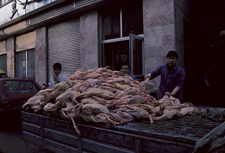 022 - 1984/12-1985/1中国 - 022_14_13
