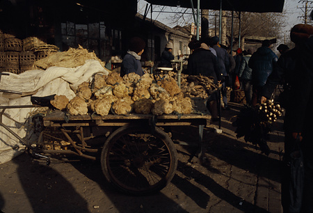 022 - 1984/12-1985/1中国 - 022_14_15
