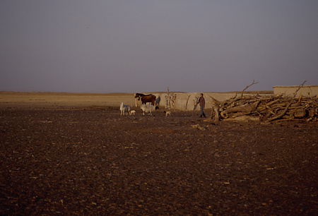 023 - 西烏旗89春14/3-4/9 - 023_03_07
