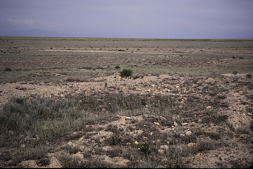 199104 - 199104_06 - 199104_06_12