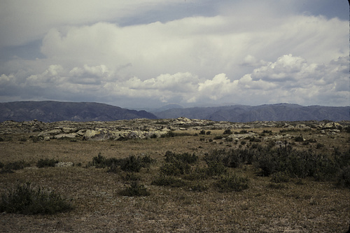 199202 - 199202_05 - 199202_05_09