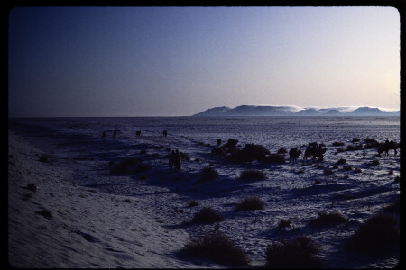 199211 - 199211_02_02