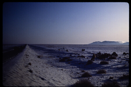 199211 - 199211_02_03