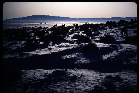199211 - 199211_02_04