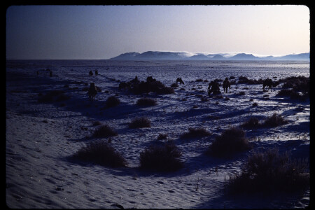 199211 - 199211_02_05