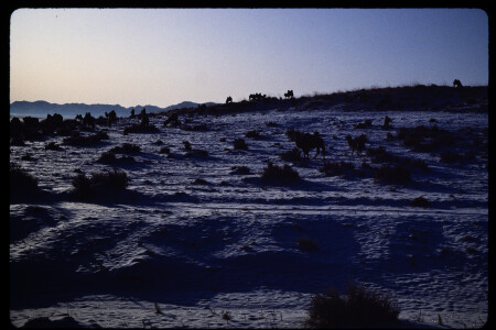 199211 - 199211_02_08