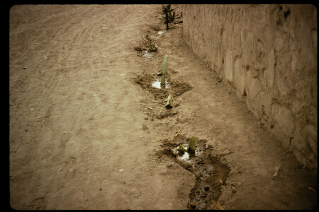 199212 - 199212_05_20