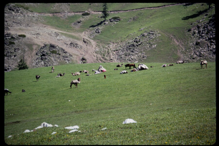 199301 - 199301_01_14