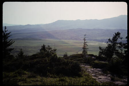 199301 - 199301_02_10