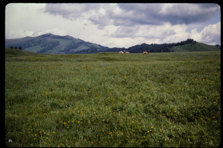 199301 - 199301_03_02