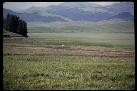 199301 - 199301_03_06