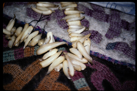 199301 - 199301_03_13