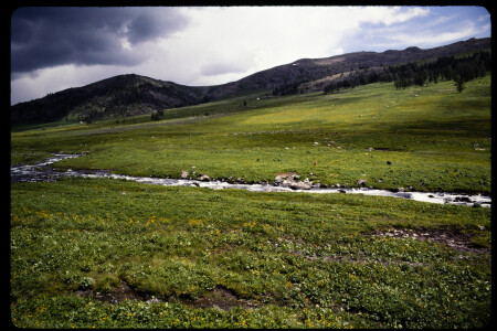 199301 - 199301_03_15