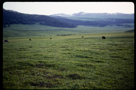 199301 - 199301_04_08