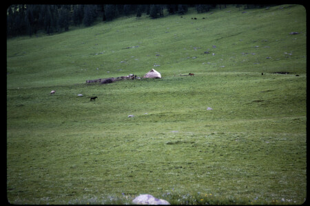 199301 - 199301_04_12