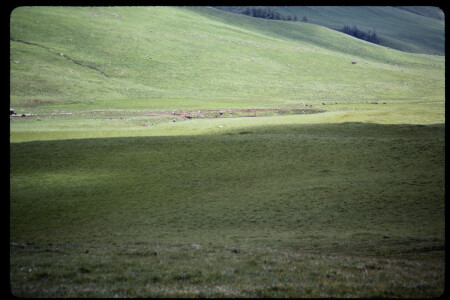 199301 - 199301_04_14