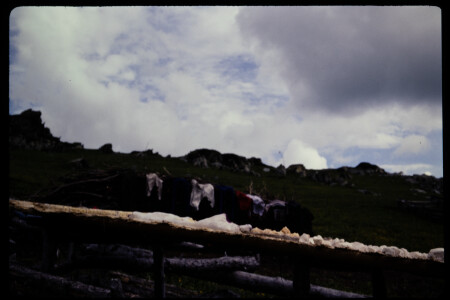 199301 - 199301_05_05