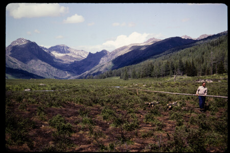 199301 - 199301_06_06