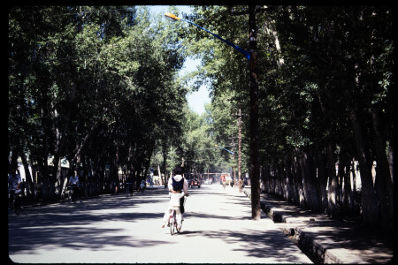 199301 - 199301_08_04