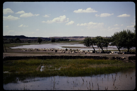 199301 - 199301_08_07