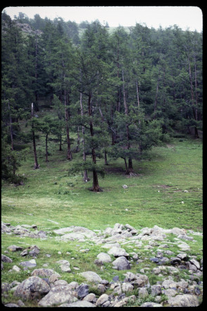 199301 - 199301_09_12