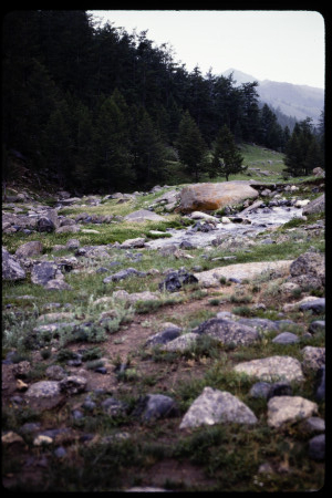 199301 - 199301_09_13