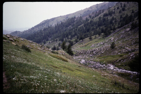 199301 - 199301_09_14