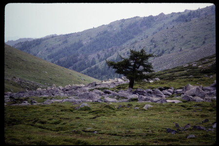 199301 - 199301_09_20