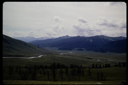199301 - 199301_11_08