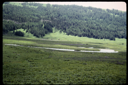 199301 - 199301_11_14