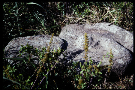 199301 - 199301_14_04