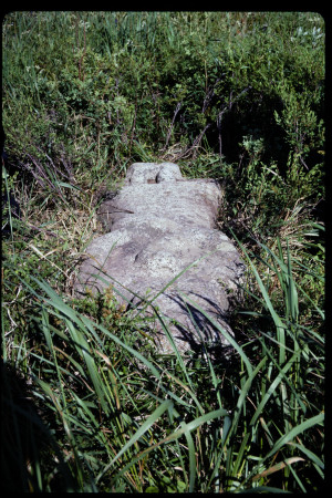 199301 - 199301_14_06