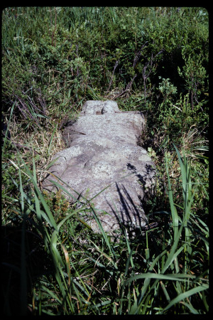 199301 - 199301_14_07