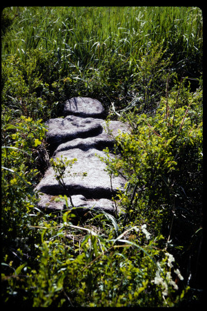 199301 - 199301_14_08