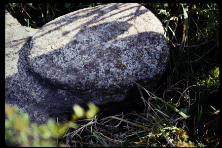199301 - 199301_14_10