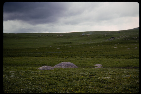 199301 - 199301_15_07