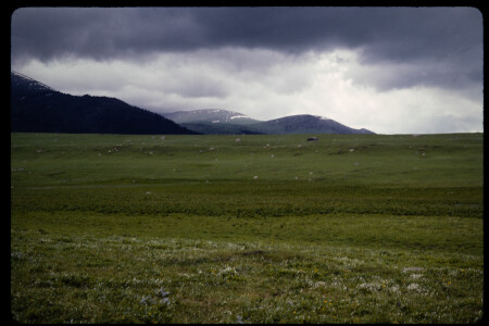 199301 - 199301_15_08