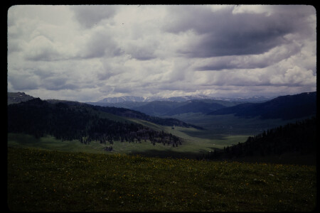 199301 - 199301_15_12