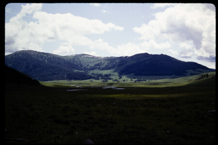 199302 - 199302_01_13