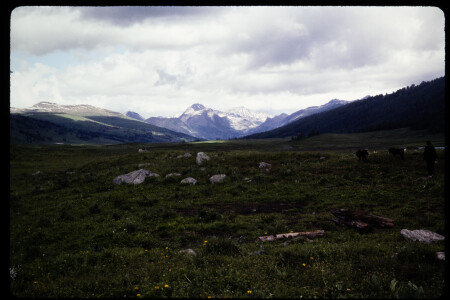 199302 - 199302_01_14