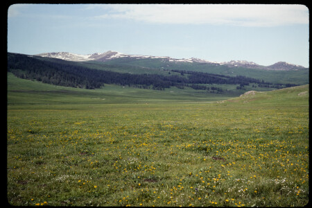 199302 - 199302_02_01