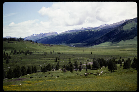 199302 - 199302_02_16